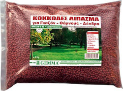 Gemma Granulat 20-5-10 pentru gazon / arbuști / conifere Granular Îngrășământ Azot, Fosfor, Potasiu 2kg