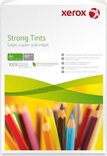 Xerox Symphony Strong Recycled Printing Paper A4 80gr/m² 500 sheets Red
