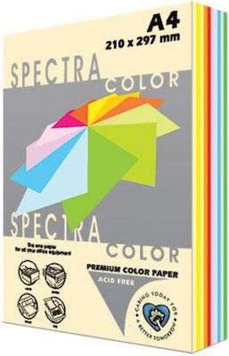 Spectra Color Printing Paper A4 160gr/m² 125 sheets Multicolour