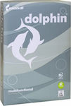 Mondi Dolphin Druckpapier A4 80gr/m² 1x500 Blätter Weiß
