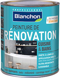 Blanchon Renovation Plastik Farbe für Innenbereich Verwendung Weiß 500ml