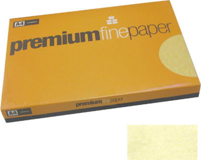 Premium Fine Paper Hârtie de Imprimare Papyrus A4 180gr/m² 1x125 foi Bej 810.180.2059