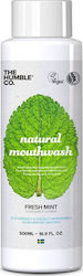The Humble Co. Natural Mouthwash Daily Protection 500ml