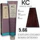 Faipa Perfecta Keratin Color Βαφή Μαλλιών Χωρίς...