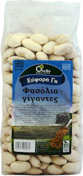 Όλα Bio Bohnen Γίγαντες Bio 500Translate to language 'German' the following specification unit for an e-commerce site in the category 'Legumes'. Reply with translation only. gr