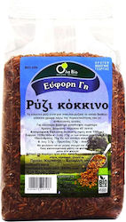 Όλα Bio Organic Red Rice 500gr