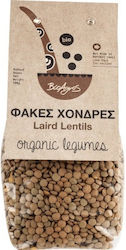 Vio Agros Lentils Large Organic 500gr