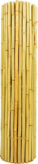 Dom Wood Bambuszaun mit Ganzes Schilf Dom Wood Bambuszaun mit Ganzes Schilf
