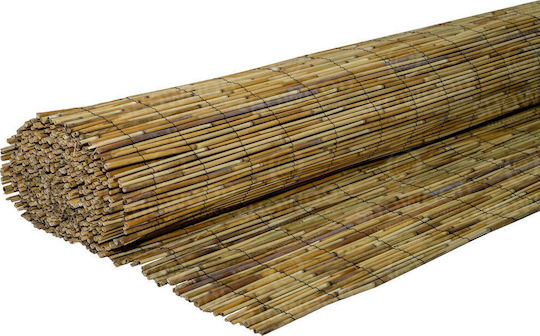 Dom Wood 3025 Dom Wood 3025
