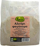 Όλα Bio Organic Flour Buckwheat 500gr