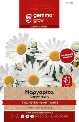 Gemma Seeds Daisyς 0.2gr/130pcs White