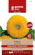 Gemma Seeds Sunflower 1gr/40pcs Yellow