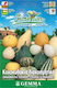 Gemma Seeds Pumpkinς Zucchini 2gr/30pcs