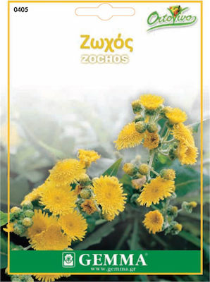 Gemma Seeds Sonchus 3gr