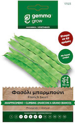 Gemma Seeds Bean Green Red Mullet 65gr/65pcs