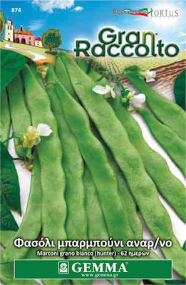 Gemma Seeds Beans 65gr/65pcs