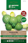 Gemma Seeds Pumpkinς Zucchini 5gr/30pcs