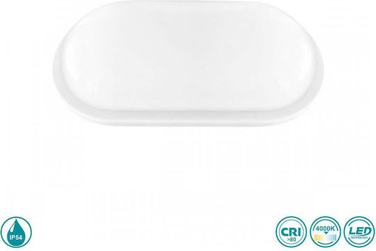 Spot Light Стенна Външна Костенурка LED IP54 15W с Естествено бяло Светлина