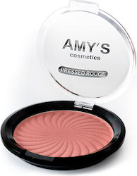 Amy's Cosmetics Ρουζ Compact Rouge 10gr
