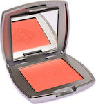 TommyG Blush Compact Blush 12gr