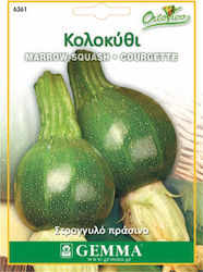 Gemma Seeds Pumpkinς Zucchini Round Dark 5gr/30pcs