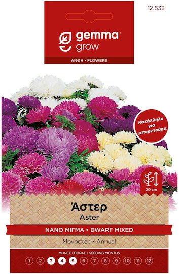 Gemma Semințe Aster Multicolor 1gr/420buc