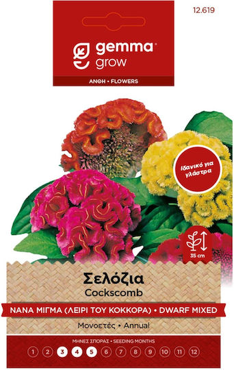 Gemma Seeds Celosia Multicolour 1gr