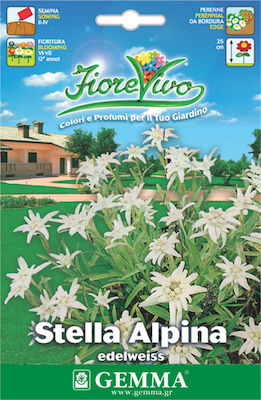 Gemma Seeds Edelweiss 0.5gr/800pcs White