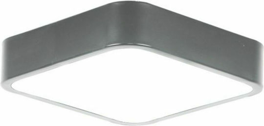 Spot Light Außen LED-Panel 21W 30x30cm
