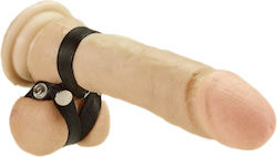 Rimba Penisstrap With Pess Studs Cock Ring Schwanz & Hoden Leder Fleisch