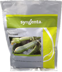 Syngenta Κολοκύθι Dolmas F1