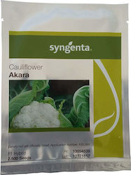 Syngenta Seeds Cauliflower 2500pcs