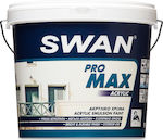 Swan Pro Max Acrylic Plastic Acrilyc Paint for Exterior Use White 3lt