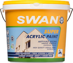 Swan Super Acrylic Plastik Farbe für Äußeres Verwendung