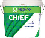 Vechro Chief Plastic Acrilyc Paint for Exterior Use Grey 9lt