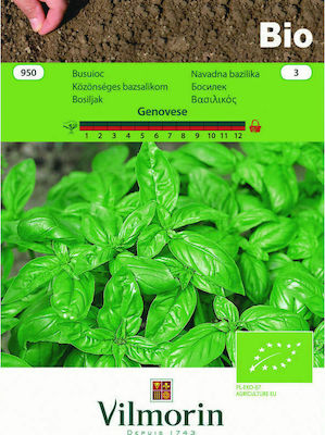 Vilmorin Seeds Basil Organic Cultivation