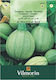 Vilmorin Seeds Pumpkinς Zucchini