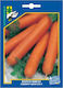 Geniki Fytotechniki Athinon Seeds Carrot Nantes