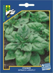 Geniki Fytotechniki Athinon Seeds Spinach