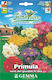 Gemma Seeds Evening Primrose 5gr/20pcs Polychrome