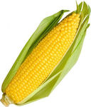 Syngenta Γλυκό Καλαμπόκι Corn 5000pcs