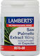 Lamberts Saw Palmetto 160mg