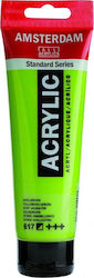 Royal Talens Amsterdam All Acrylics Standard Acrylic Colour Yellow Green 617 Royal Talens Amsterdam All Acrylics Standard Acrylic Colour Yellow Green 617