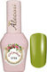 Alezori Classic Semipermanent Lac de Unghii 3722 Olive Green 15ml 1buc