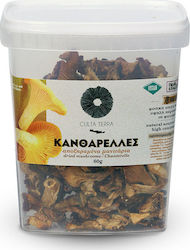 Culta Terra Mushrooms Dried Chanterelles 80gr