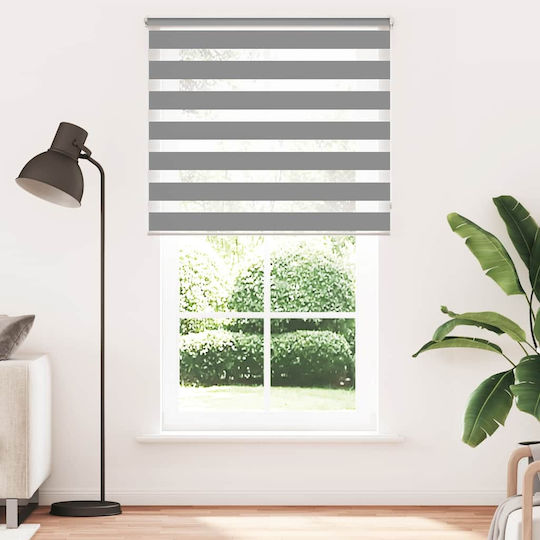 vidaXL Ρόλερ Σκίασης Zebra Διπλό Π120xΥ230εκ. 240219 Γκρι