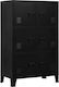 Cabinet de Birou Metalic Negru 75x40x120cm