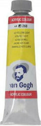 Royal Talens Van Gogh Acrylic Acrylic Paint Set...