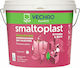 Vechro Smaltoplast Kitchen & Bath Plastic Ecological Paint for Interior Use White 10lt