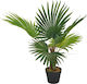 vidaXL Artificial Plant in Pot Palm Tree Green 70cm 1pcs